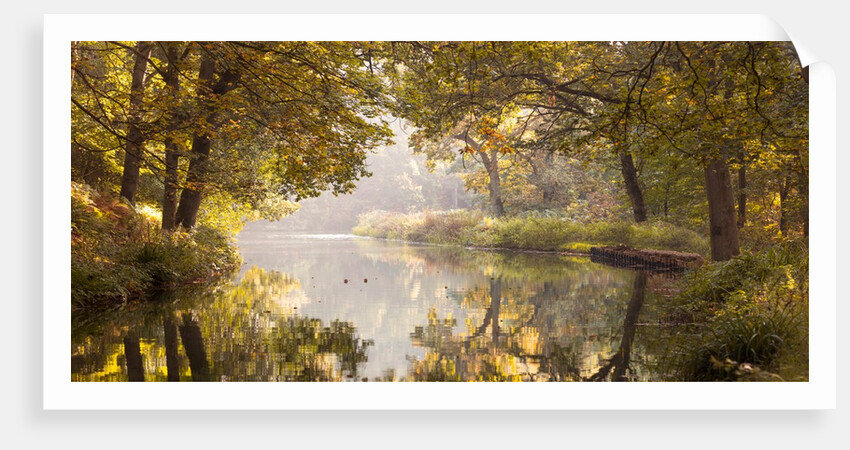 Basingstoke canal by Assaf Frank